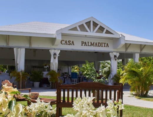 Casa Palmadita