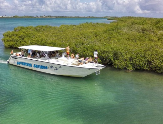 Adventure Antigua - Eli's Eco-Tour